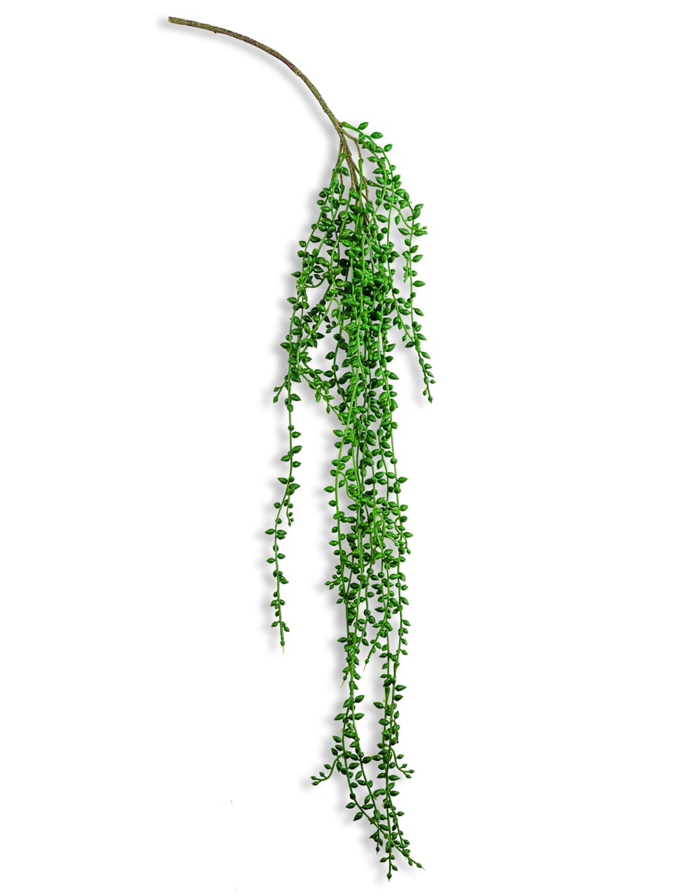 Ornamental Hanging Vine - AF44