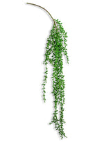 Ornamental Hanging Vine - AF44