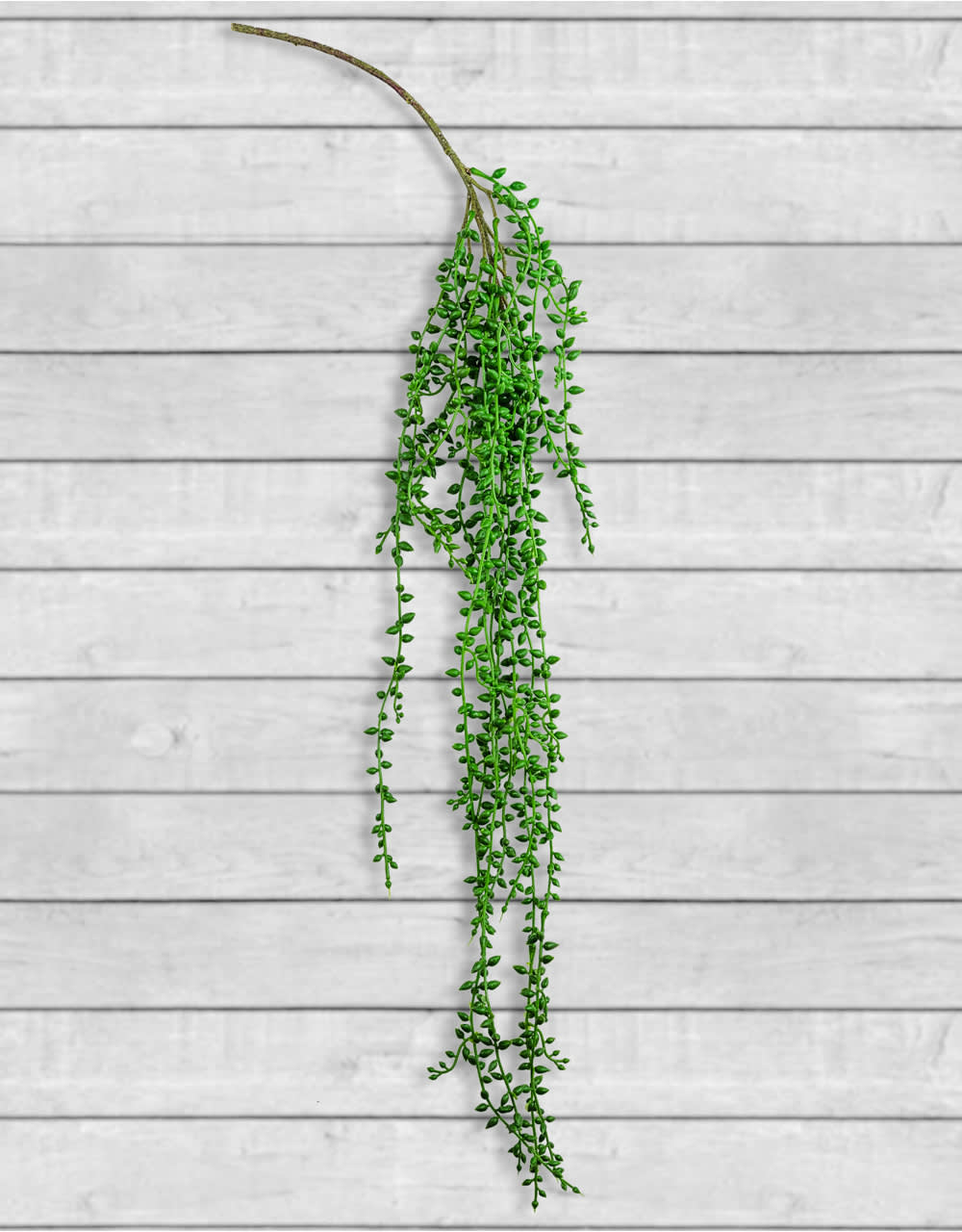 Ornamental Hanging Vine - AF44