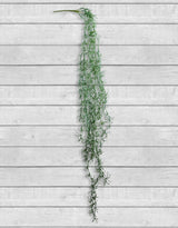 Ornamental Hanging Vine - AF45