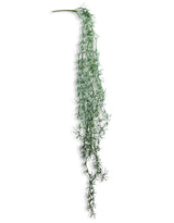 Ornamental Hanging Vine - AF45