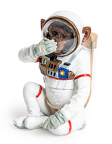 Speak No Evil Astronaut Chimpanzee - DVM12