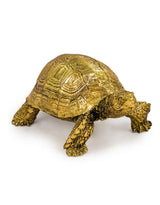 Small Gold Tortoise Figure - DVM18