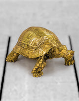 Small Gold Tortoise Figure - DVM18