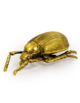 Large Gold Beetle Wall Decoration - TPR12