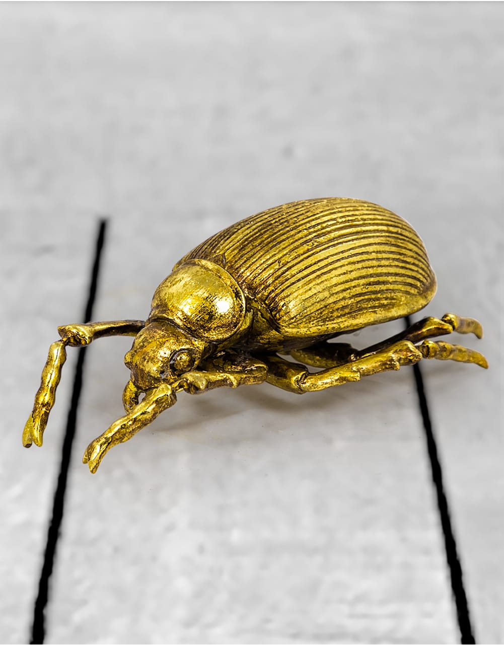 Large Gold Beetle Wall Decoration - TPR12