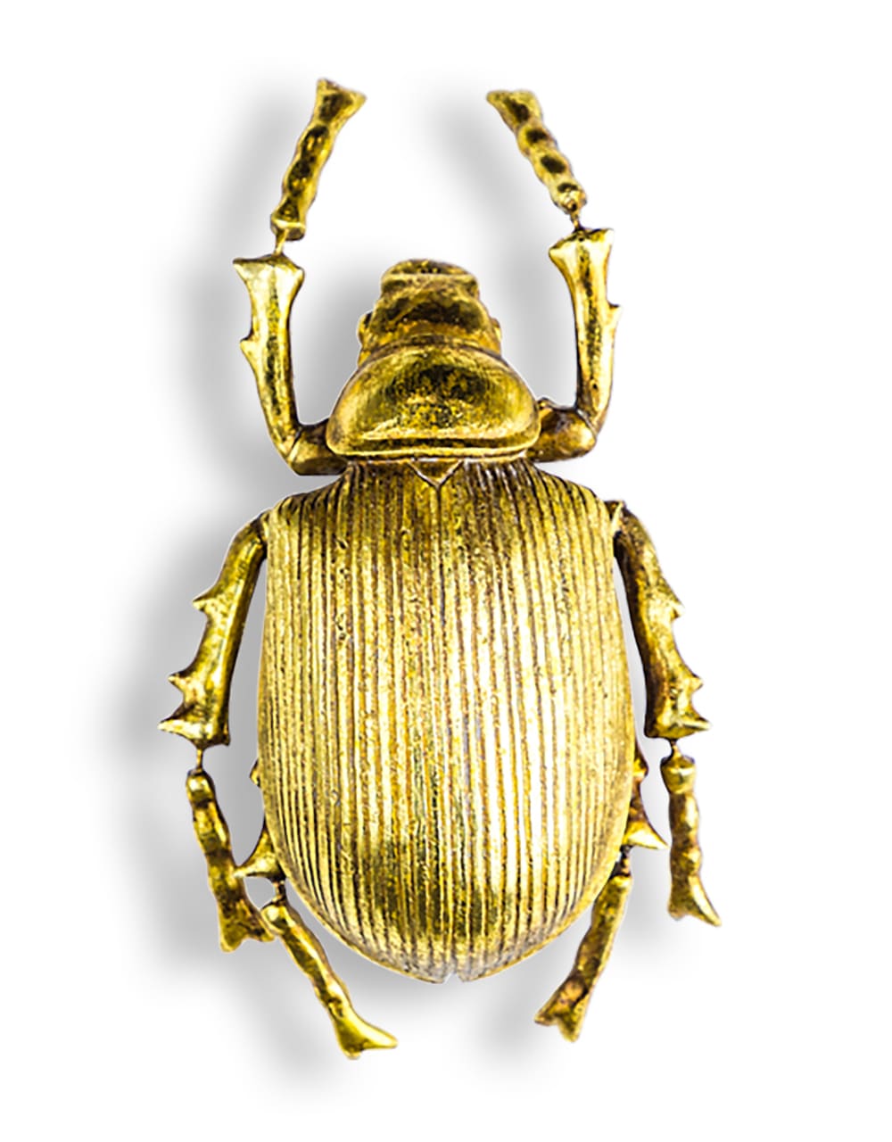 Large Gold Beetle Wall Decoration - TPR12