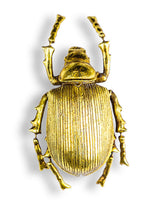 Large Gold Beetle Wall Decoration - TPR12