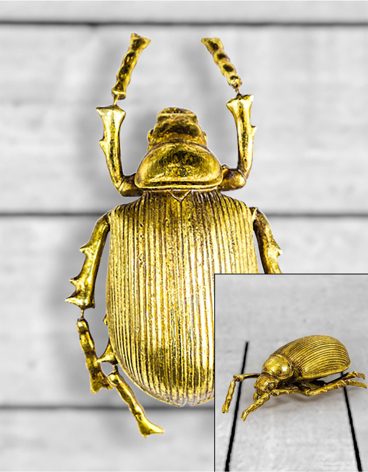 Large Gold Beetle Wall Decoration - TPR12