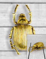 Large Gold Beetle Wall Decoration - TPR12