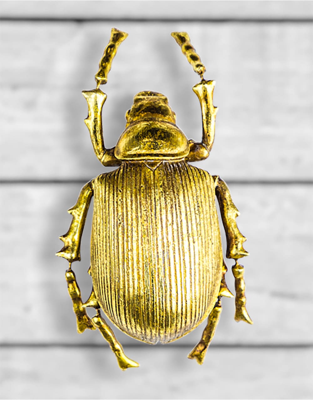 Large Gold Beetle Wall Decoration - TPR12