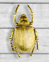 Large Gold Beetle Wall Decoration - TPR12