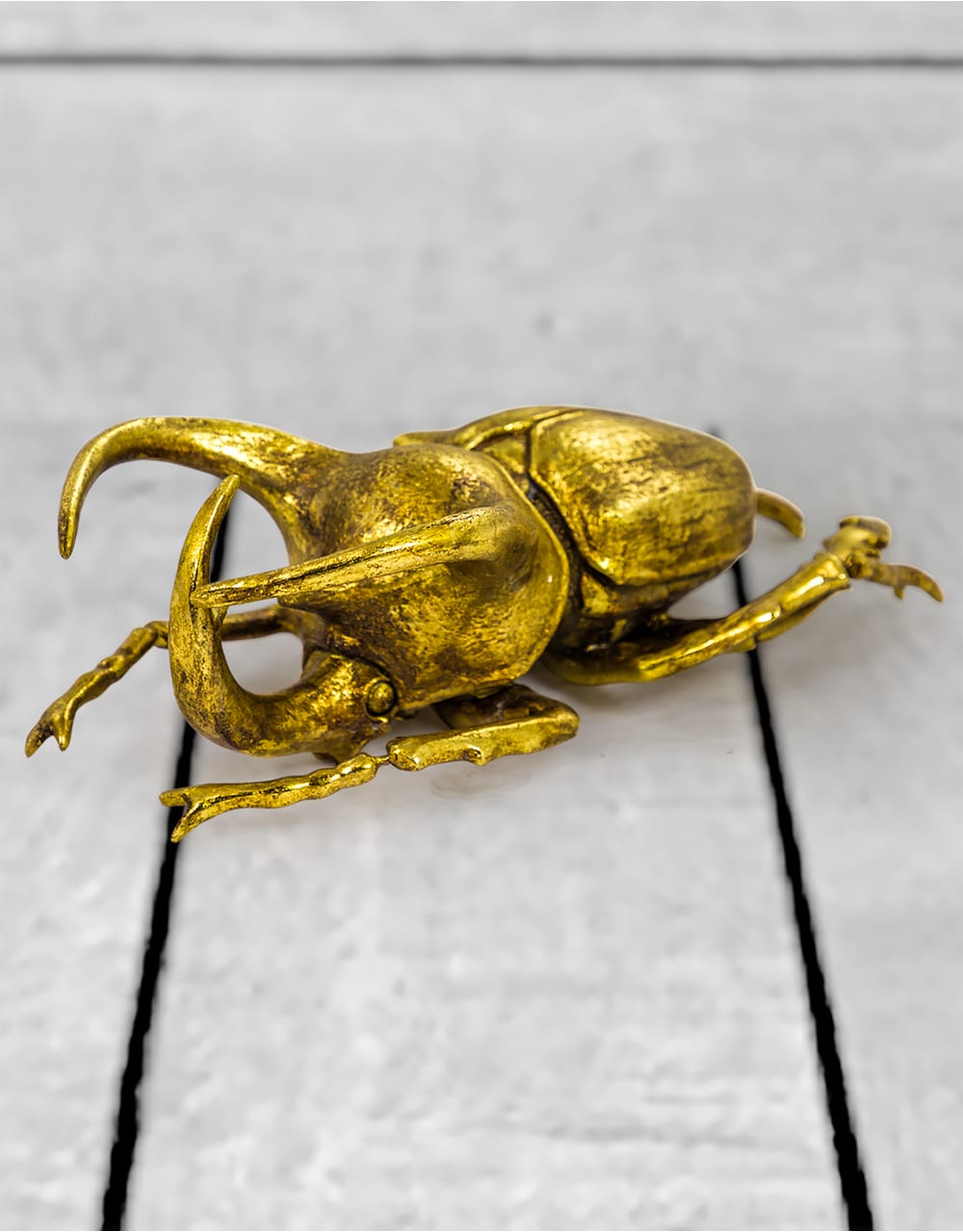 Extra Large Gold Beetle Wall Decor - TPR13