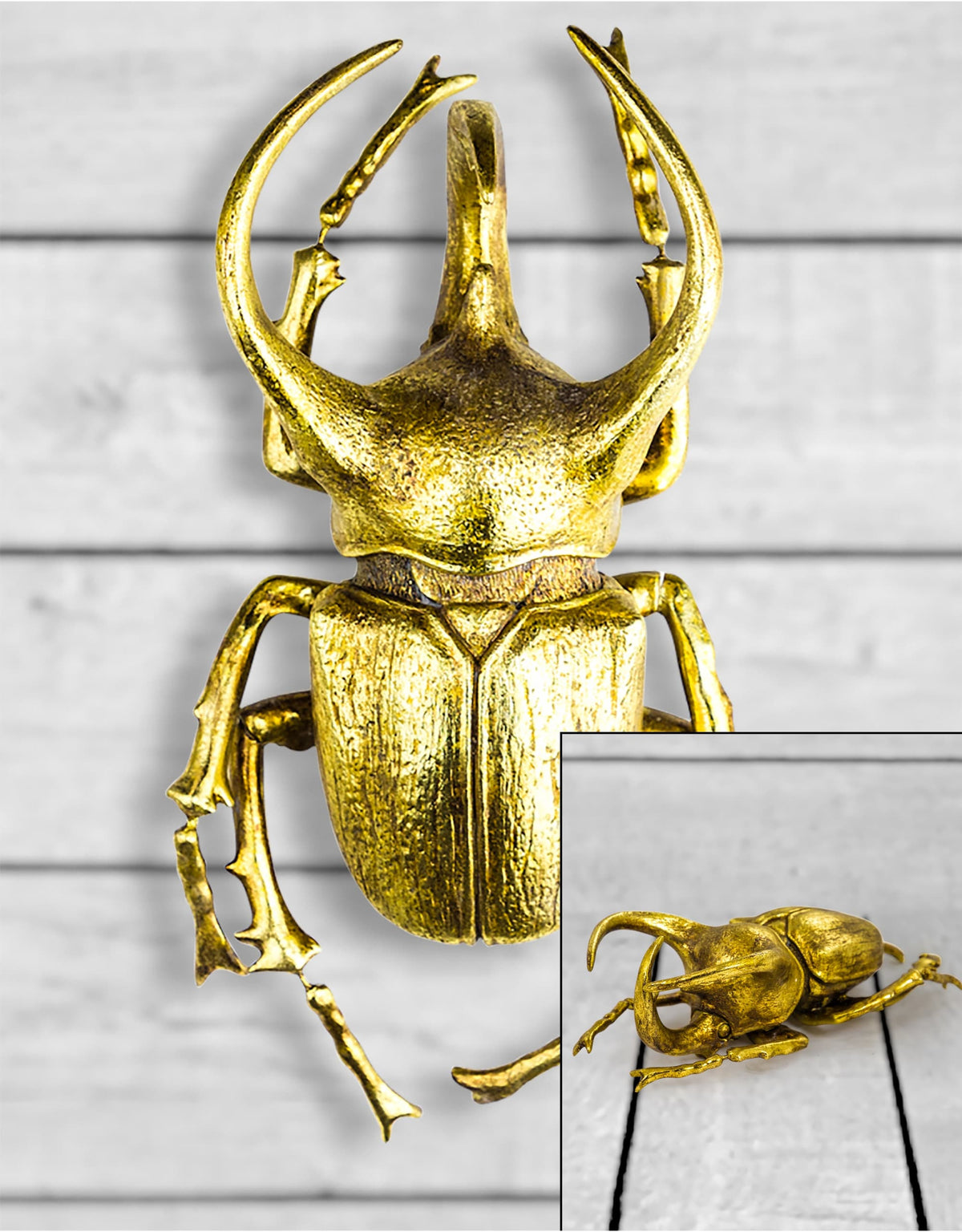 Extra Large Gold Beetle Wall Decor - TPR13