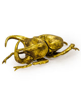 Extra Large Gold Beetle Wall Decor - TPR13