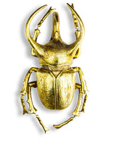 Extra Large Gold Beetle Wall Decor - TPR13