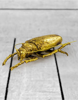 Large Gold Beetle Wall Hanging (to be bought in qtys of 2) - TPR14