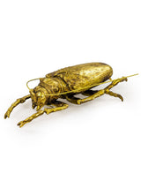 Large Gold Beetle Wall Hanging (to be bought in qtys of 2) - TPR14