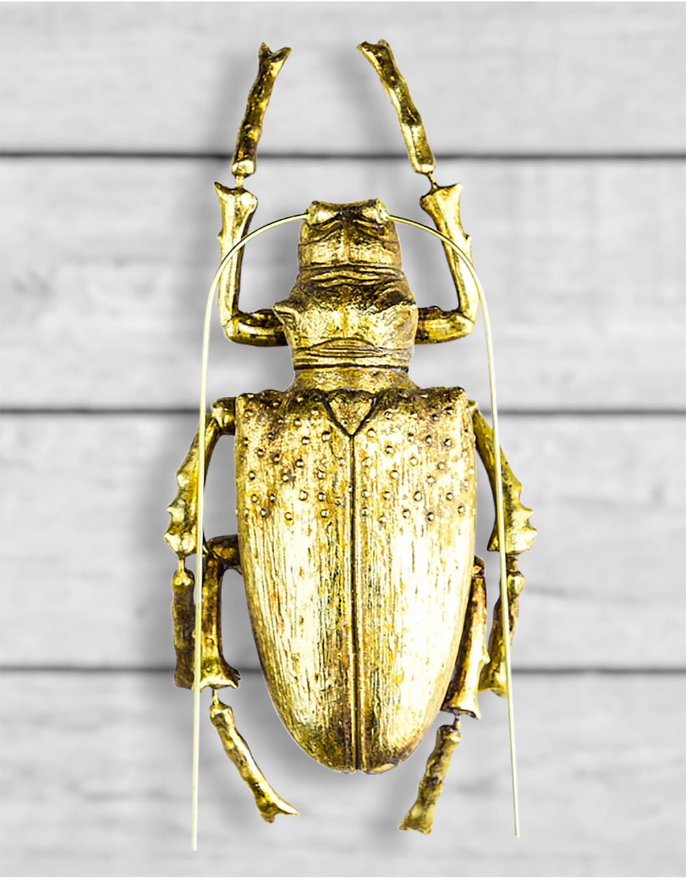 Large Gold Beetle Wall Hanging (to be bought in qtys of 2) - TPR14