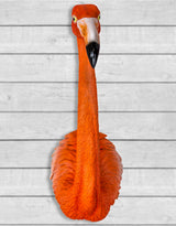 Large Flamingo Wall Head - BD160
