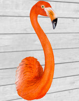 Large Flamingo Wall Head - BD160