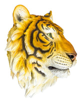 Large Tiger Wall Head - BD161