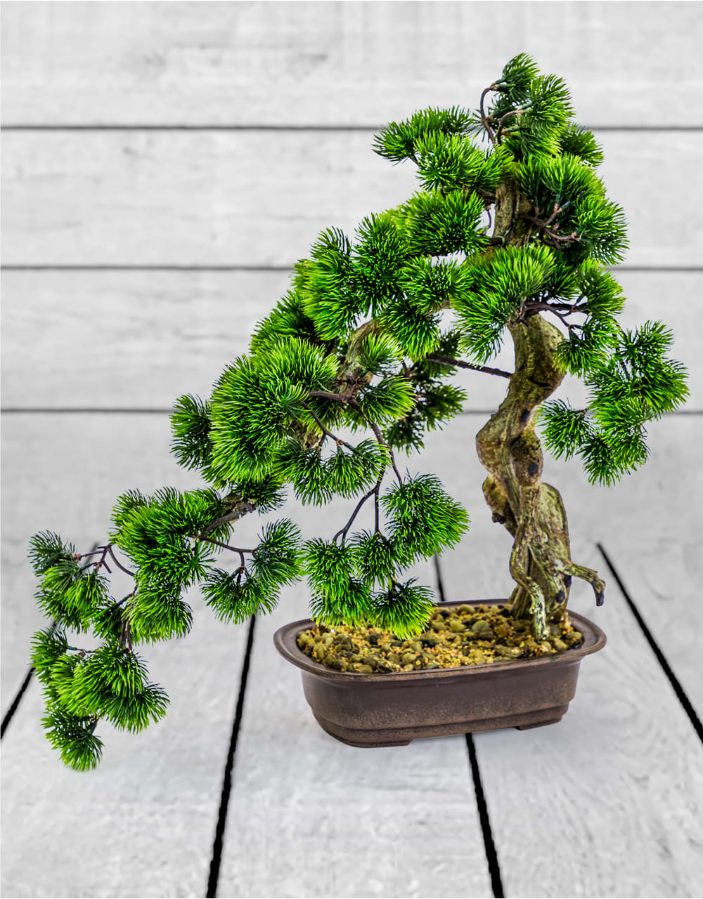 Ornamental Large Bonsai Tree in Iron Style Pot - AF55
