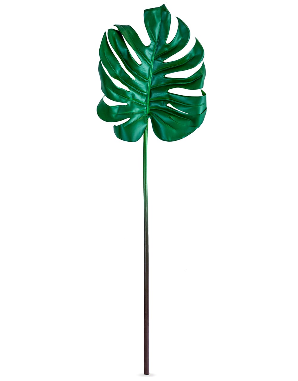 Ornamental Split Philo Leaf Single Stem - AF57