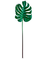 Ornamental Split Philo Leaf Single Stem - AF57