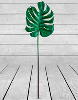 Ornamental Split Philo Leaf Single Stem - AF57