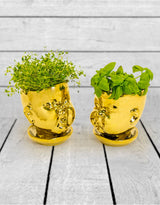 Set of 2 Gold Plated Ceramic Baby Face Pots/Vases - FPC12