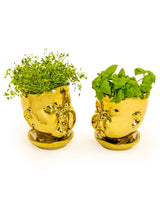 Set of 2 Gold Plated Ceramic Baby Face Pots/Vases - FPC12
