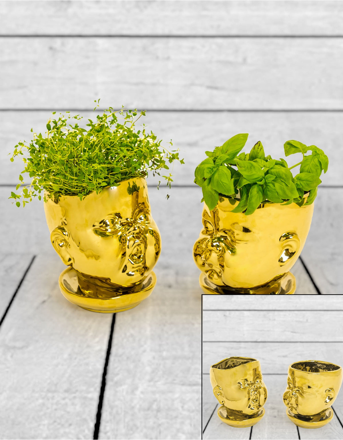 Set of 2 Gold Plated Ceramic Baby Face Pots/Vases - FPC12
