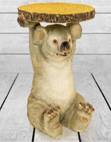 Koala Holding "Trunk Slice" Side Table - BD164