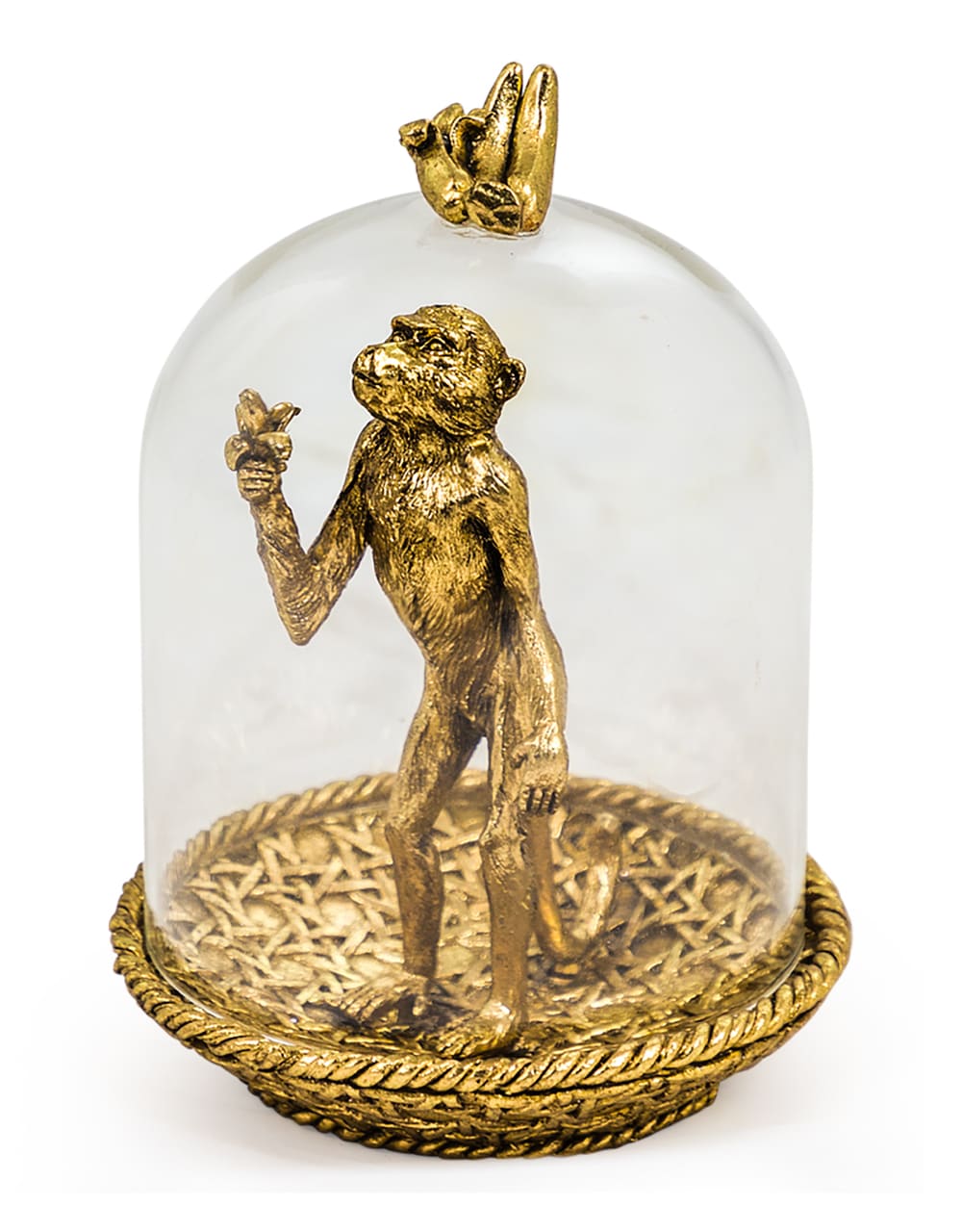 Golden Hungry Monkey in Glass Dome - DVM13