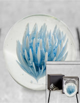 Large Blue & White Flower Glass Ball Paperweight with Gift Box - GW107