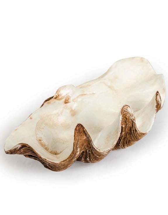 Large Clam Shell Decorative Bowl - TPR48