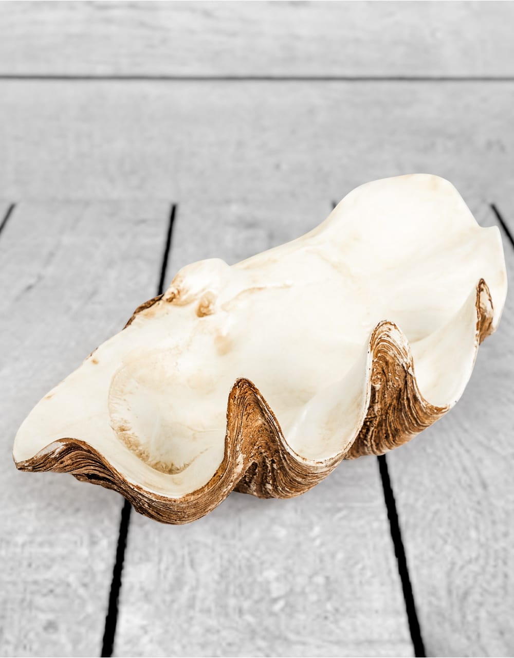 Large Clam Shell Decorative Bowl - TPR48