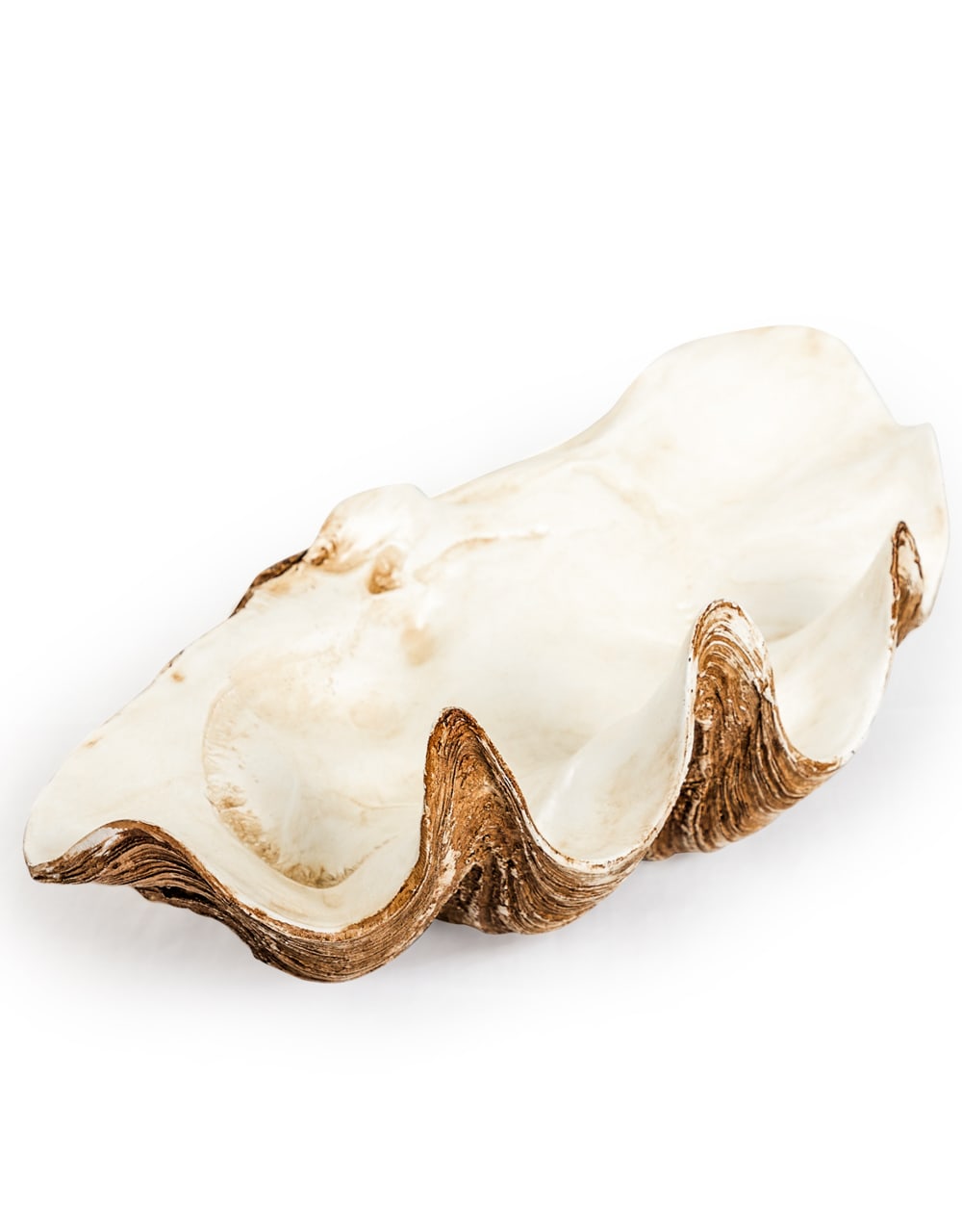 Large Clam Shell Decorative Bowl - TPR48