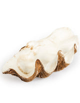 Large Clam Shell Decorative Bowl - TPR48