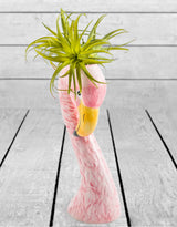 Small Ceramic Pink Flamingo Head Vase - CRT48