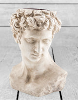 Stone Effect David Bust Flower Pot - CRT51