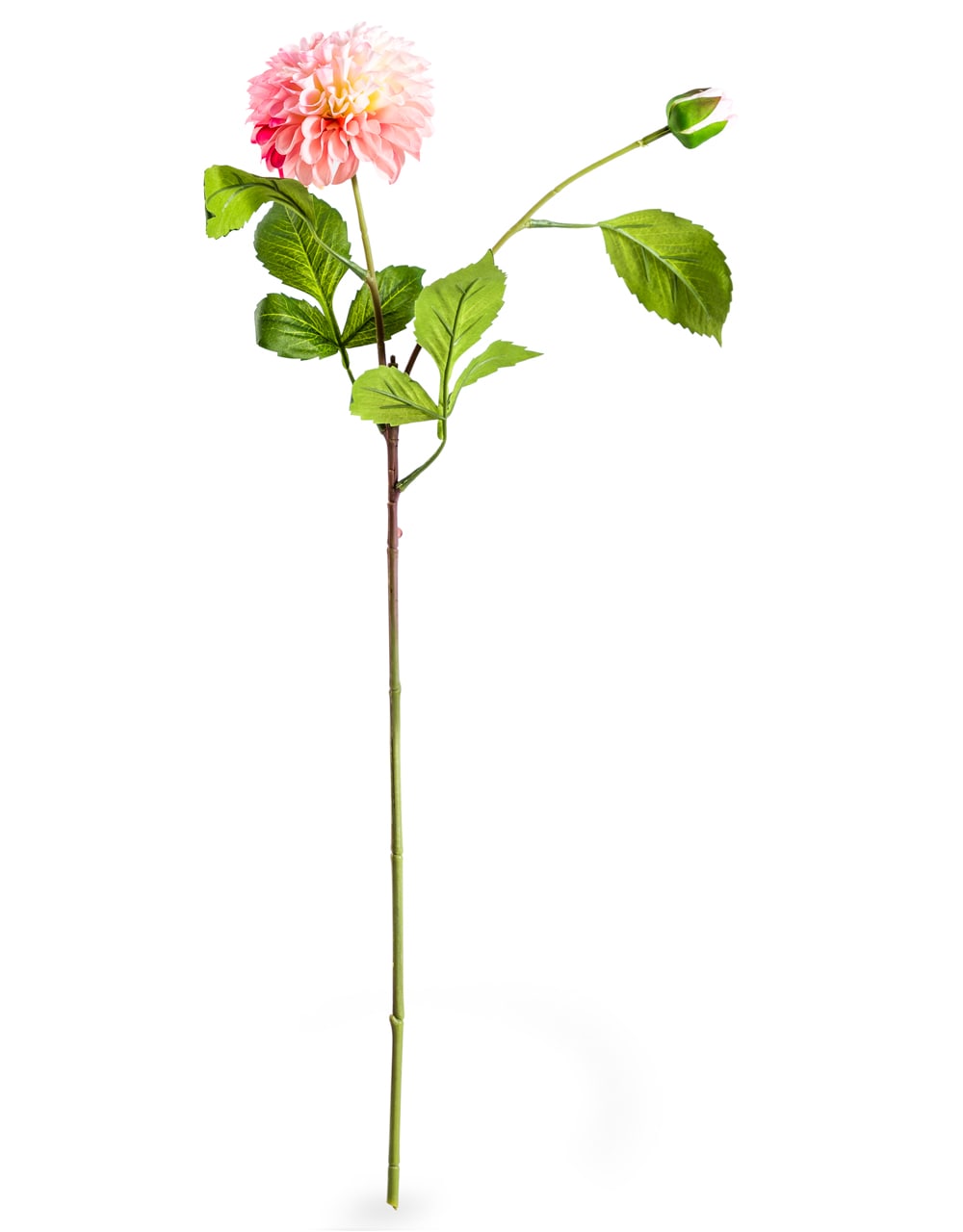 Single Pink Dahlia Stem (to be bought in qtys of 24) - AF71