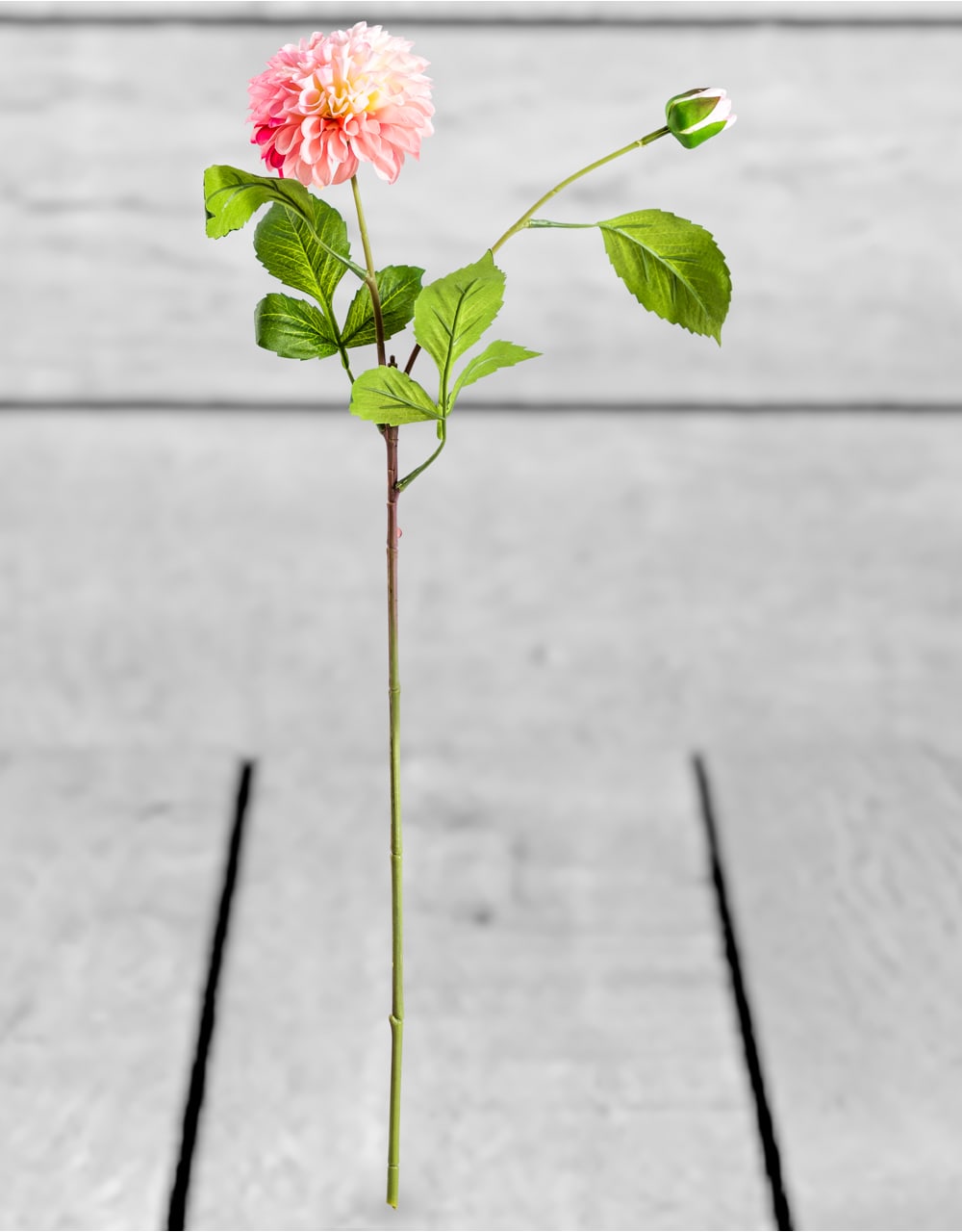 Single Pink Dahlia Stem (to be bought in qtys of 24) - AF71