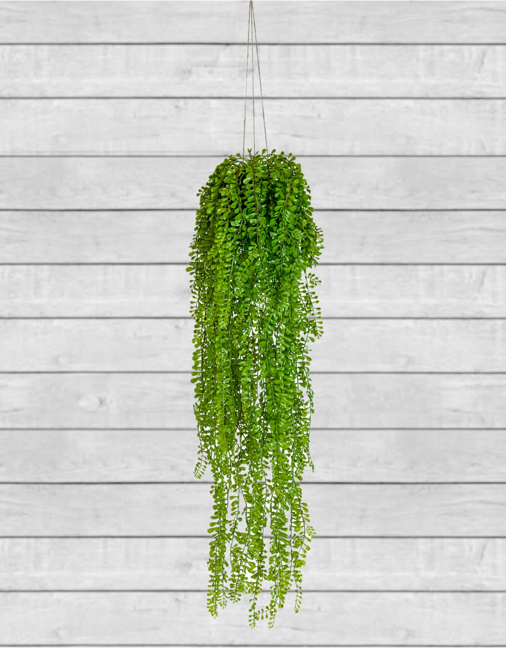 Hanging Airplant Vine Arrangement (to be bought in qtys of 6) - AF76