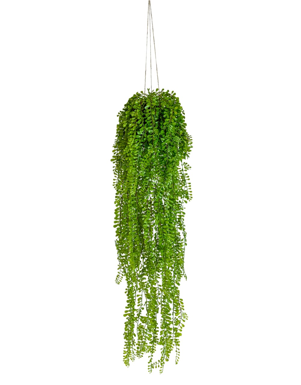 Hanging Airplant Vine Arrangement (to be bought in qtys of 6) - AF76