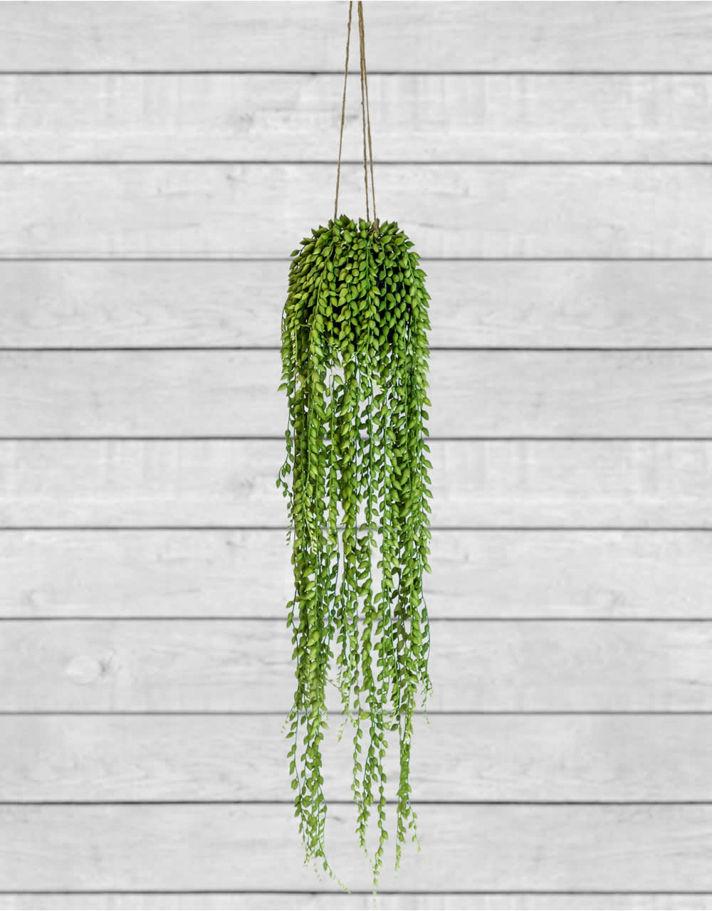 Ornamental Hanging String of Pearls Vine Arrangement (to be bought in qtys of 6) - AF77