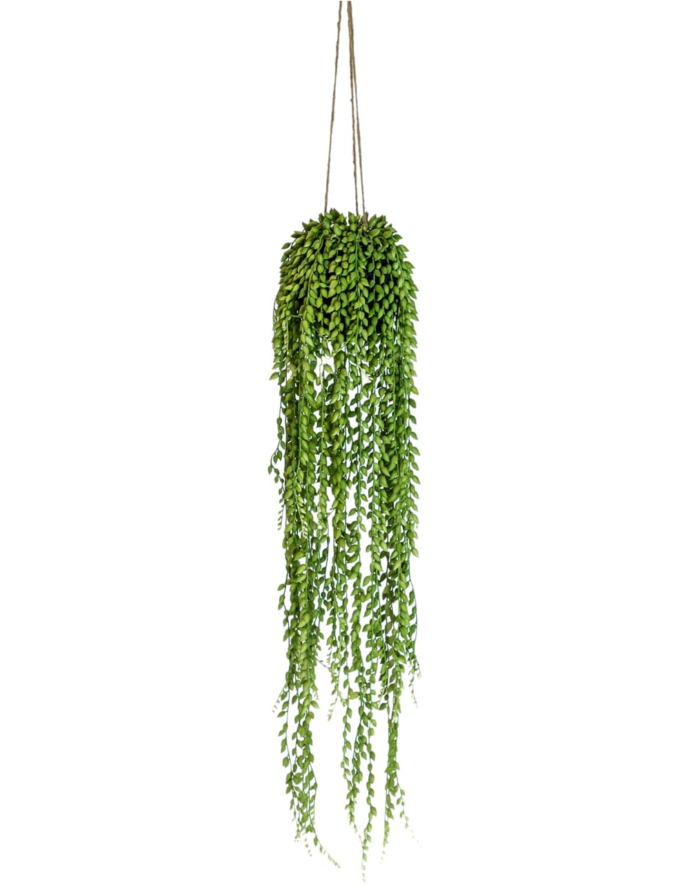 Ornamental Hanging String of Pearls Vine Arrangement (to be bought in qtys of 6) - AF77