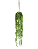 Ornamental Hanging String of Pearls Vine Arrangement (to be bought in qtys of 6) - AF77