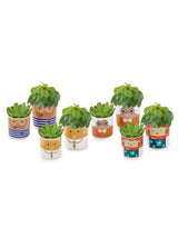 Set of 8 (4 Small, 4 Large) Ceramic People Pots - MCP21